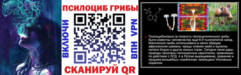 Псилоцибиновые грибы прущие грибы  Лабинск 